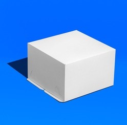 Короб ForGenika CHROM White 300*300*190 мм S (100 шт./кор.)