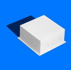 Короб ForGenika CHROM White 210*210*100 мм S (100 шт./кор.)