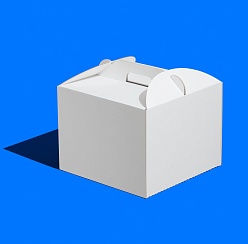 Короб ForGenika CARRY GO Белый 240*240*200 мм LP (50 шт./кор.)