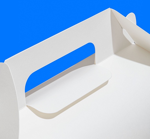 FORGENIKA HANDLE DOM_язычок_1812.jpg