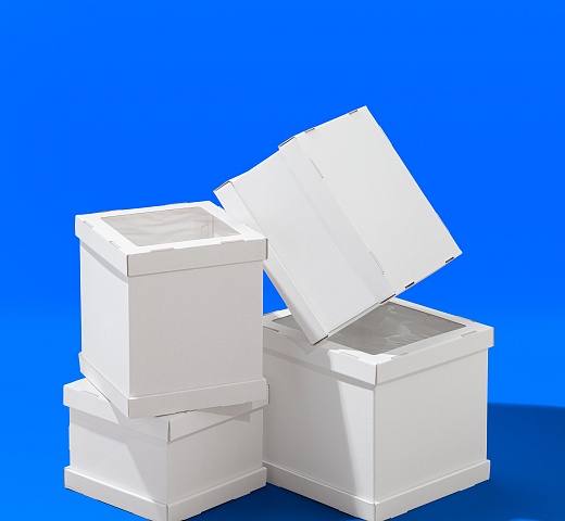 FORGENIKA STRONG_079.jpg