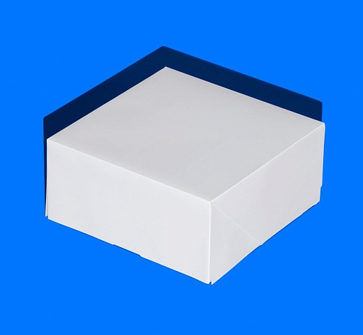 FORGENIKA_SHELF W 255x255x120_1284.jpg