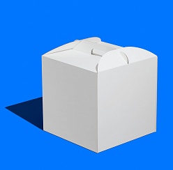 Короб ForGenika CARRY GO Белый 260*260*200 мм LP (50 шт./кор.)